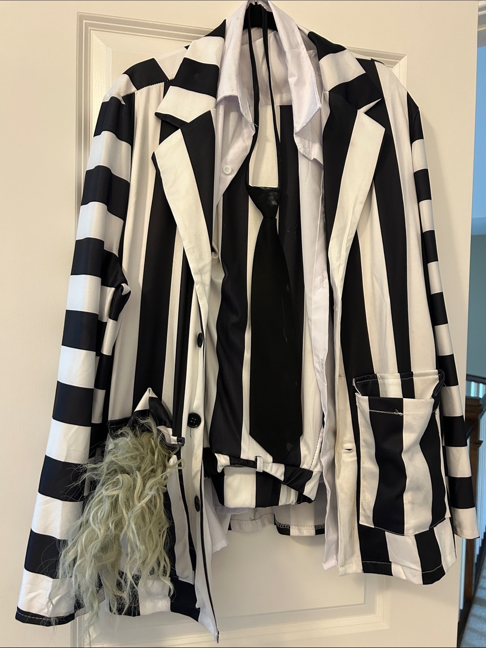 Men’s Halloween Costume Black & White Suit, Shirt, Tie and Wig